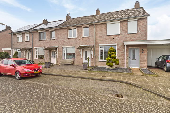 Foto 1 van Meerval 47