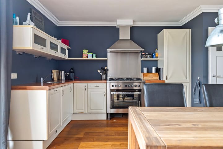 Foto 3 van Meerval 47