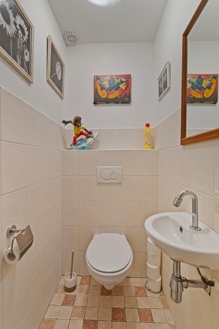 Foto 8 van Meerval 47