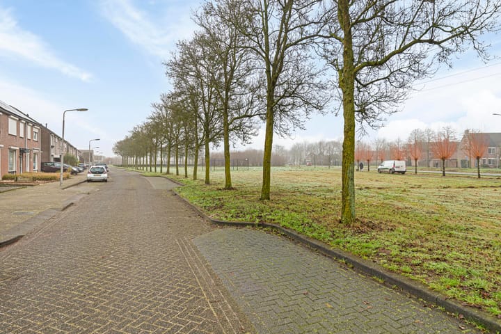 Foto 27 van Meerval 47