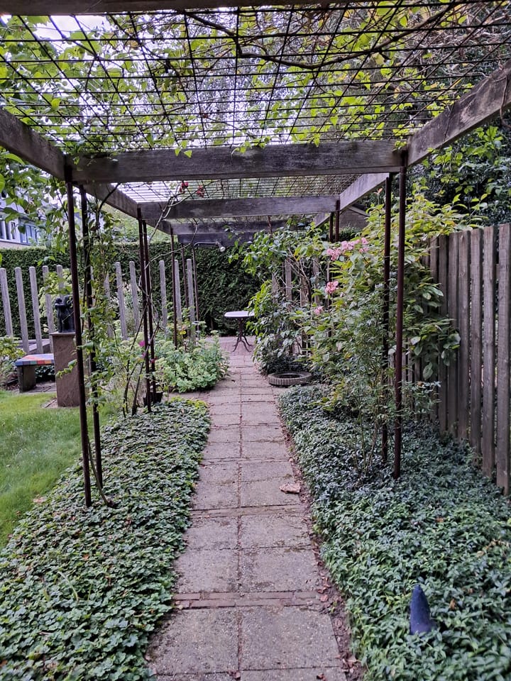 Foto 28 van De Vriesstraat 20