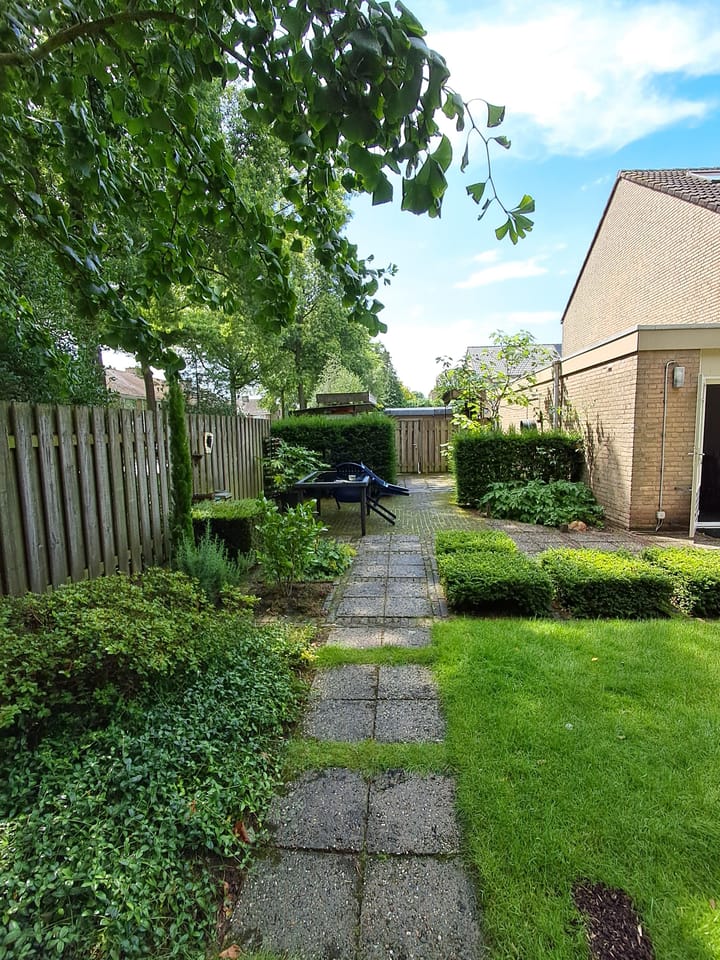 Foto 29 van De Vriesstraat 20