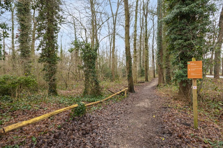 Photo 38 of van Reedestraat 8