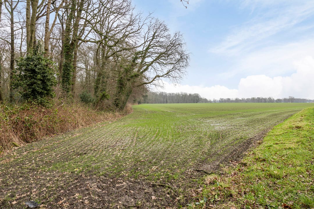 Foto 46 van van Reedestraat 8