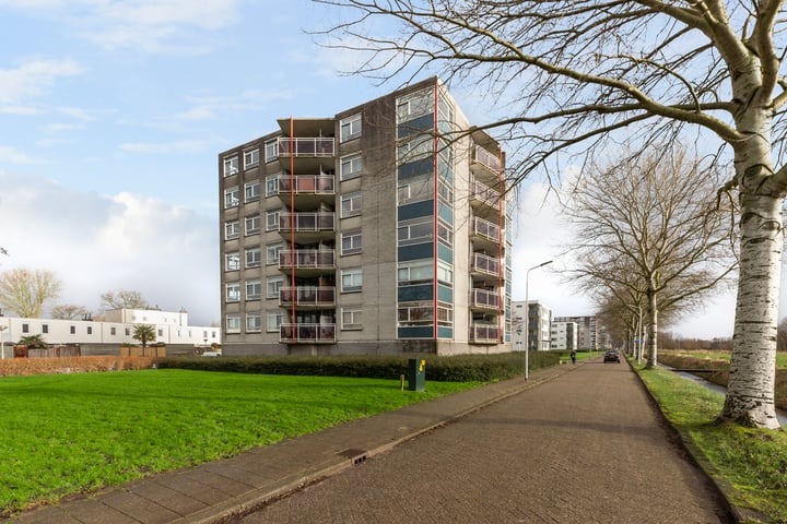 View photo of Lepelaarstraat 132