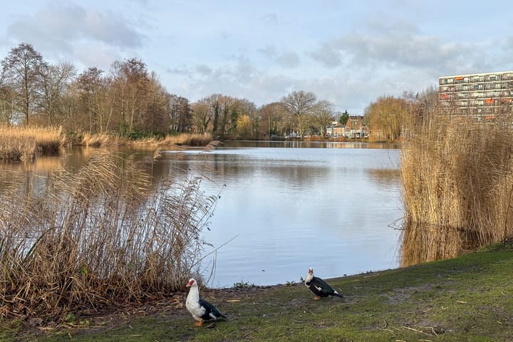 Foto 37 van Acaciastraat 75