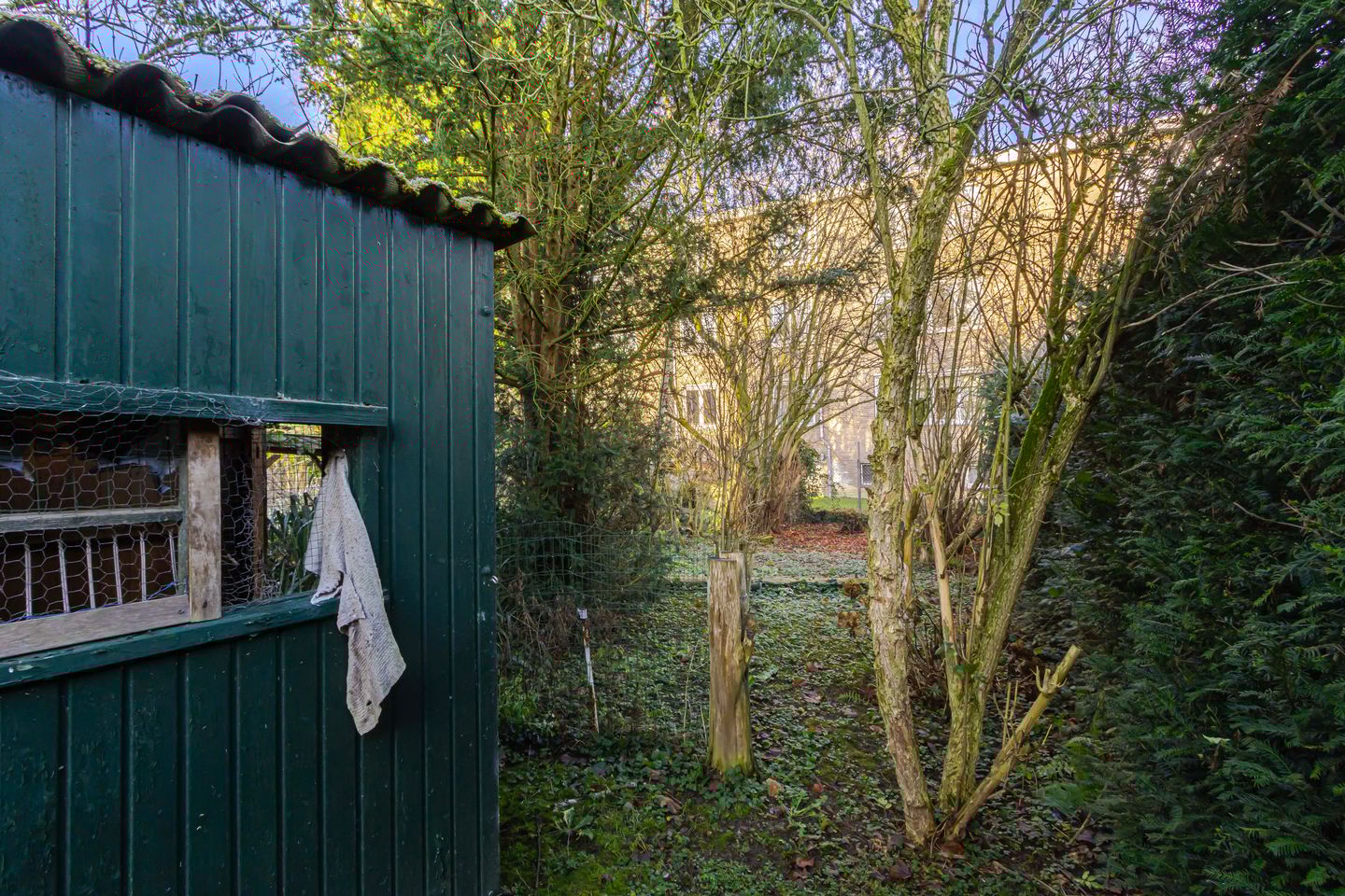 Foto 34 van St. Nicolaasstraat 17-B