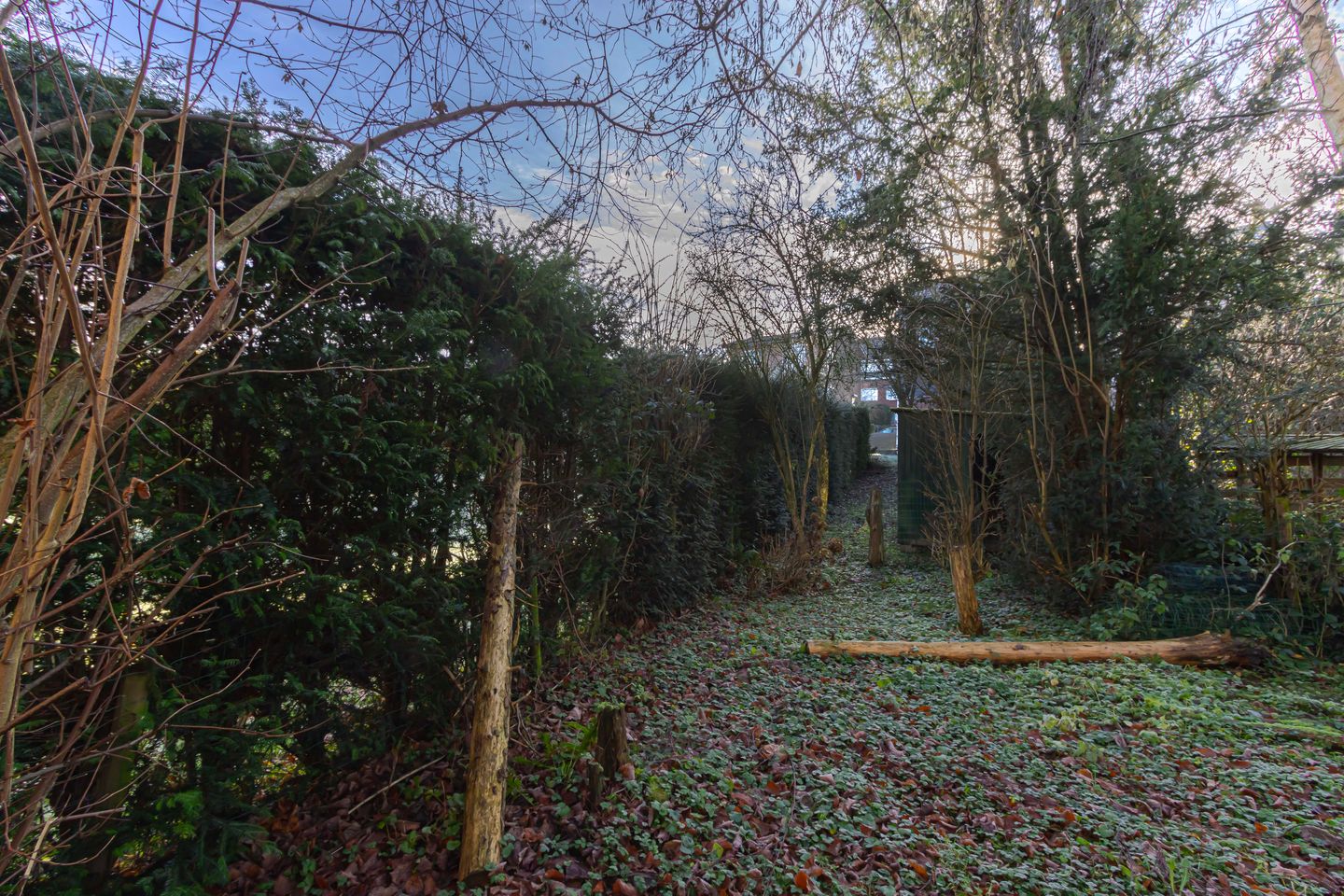 Foto 35 van St. Nicolaasstraat 17-B