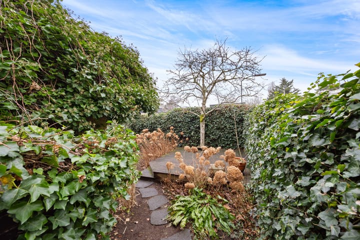 Foto 30 van Tulpentuin 30