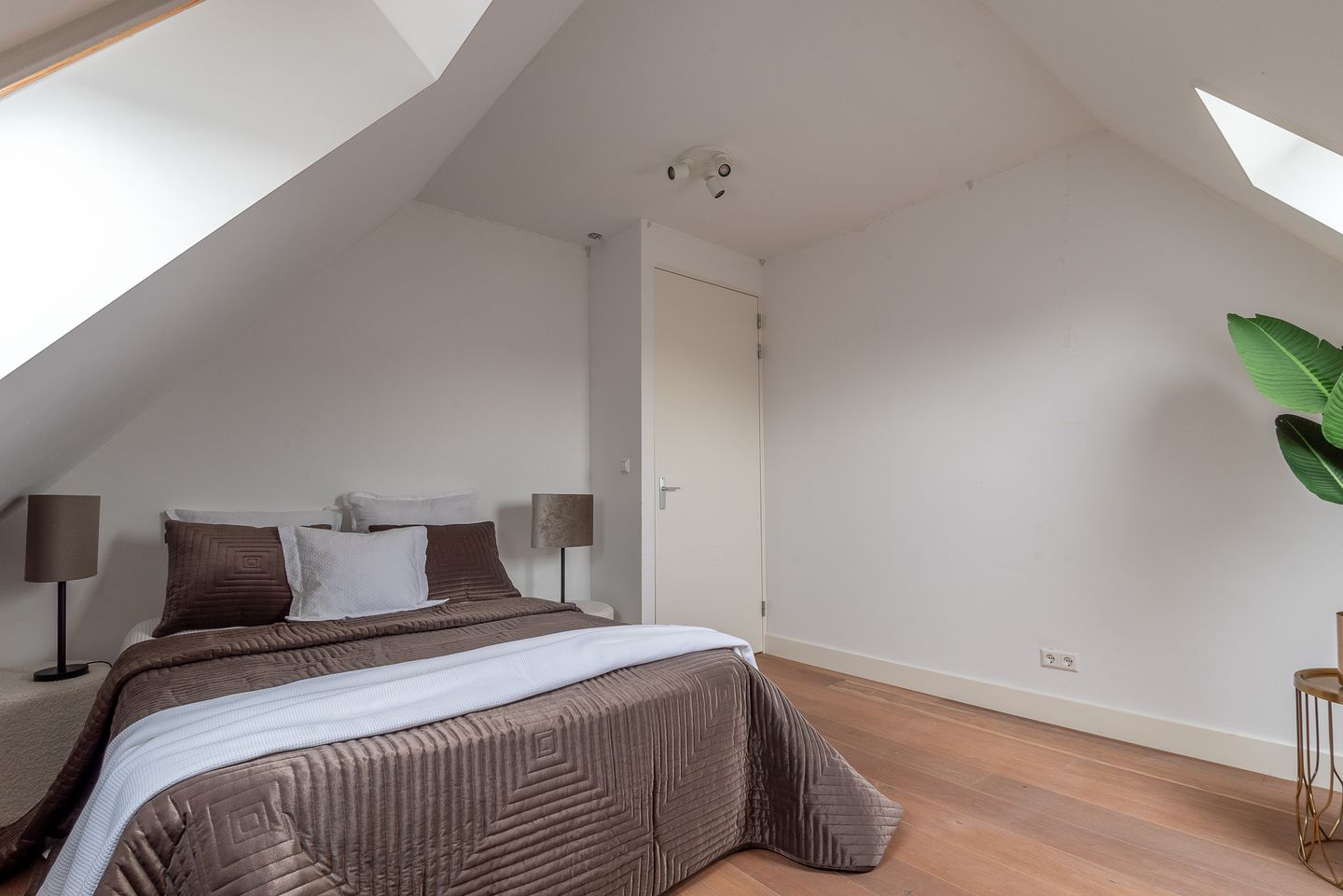 Foto 55 van Rietgorspad 22