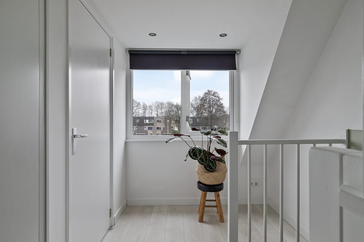 Foto 25 van Springerstraat 18