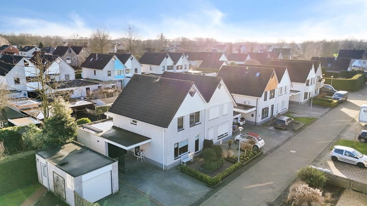 Foto 2 van Grauwe Gans 7