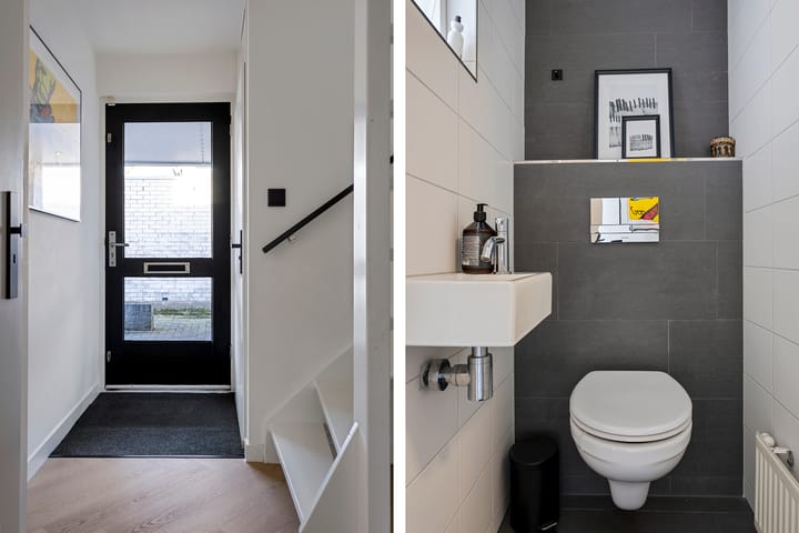 Foto 3 van Grauwe Gans 7