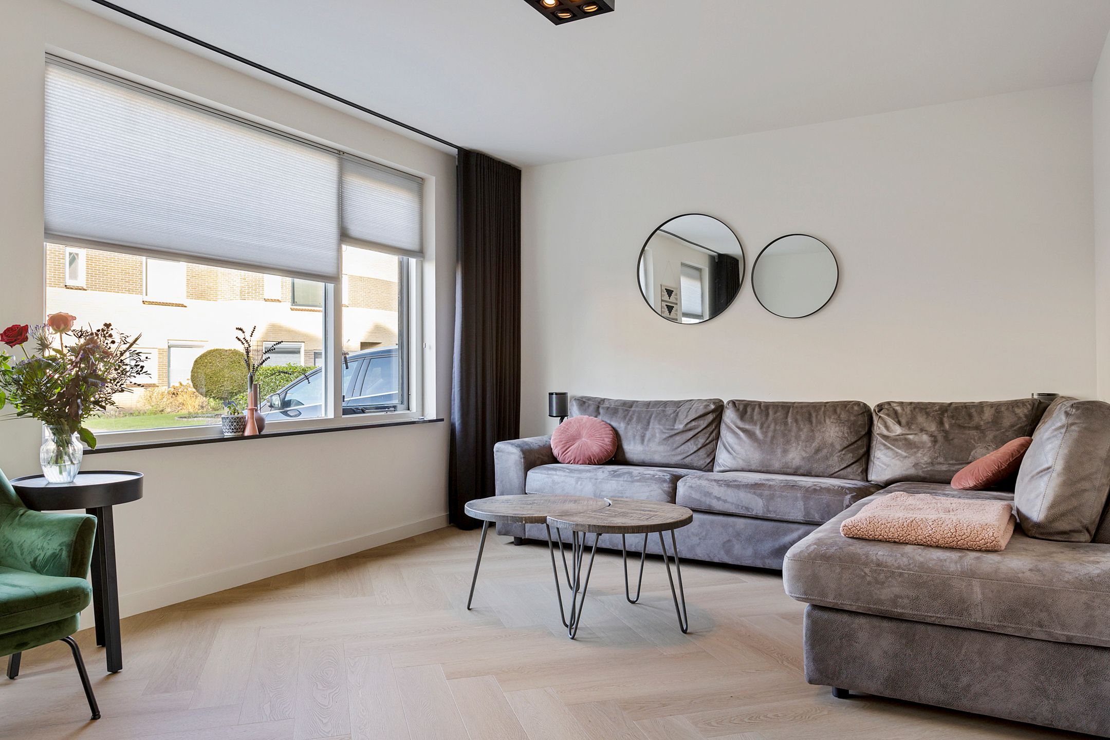 Foto 6 van Grauwe Gans 7