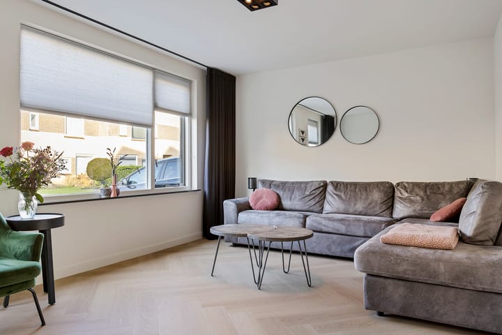 Foto 6 van Grauwe Gans 7