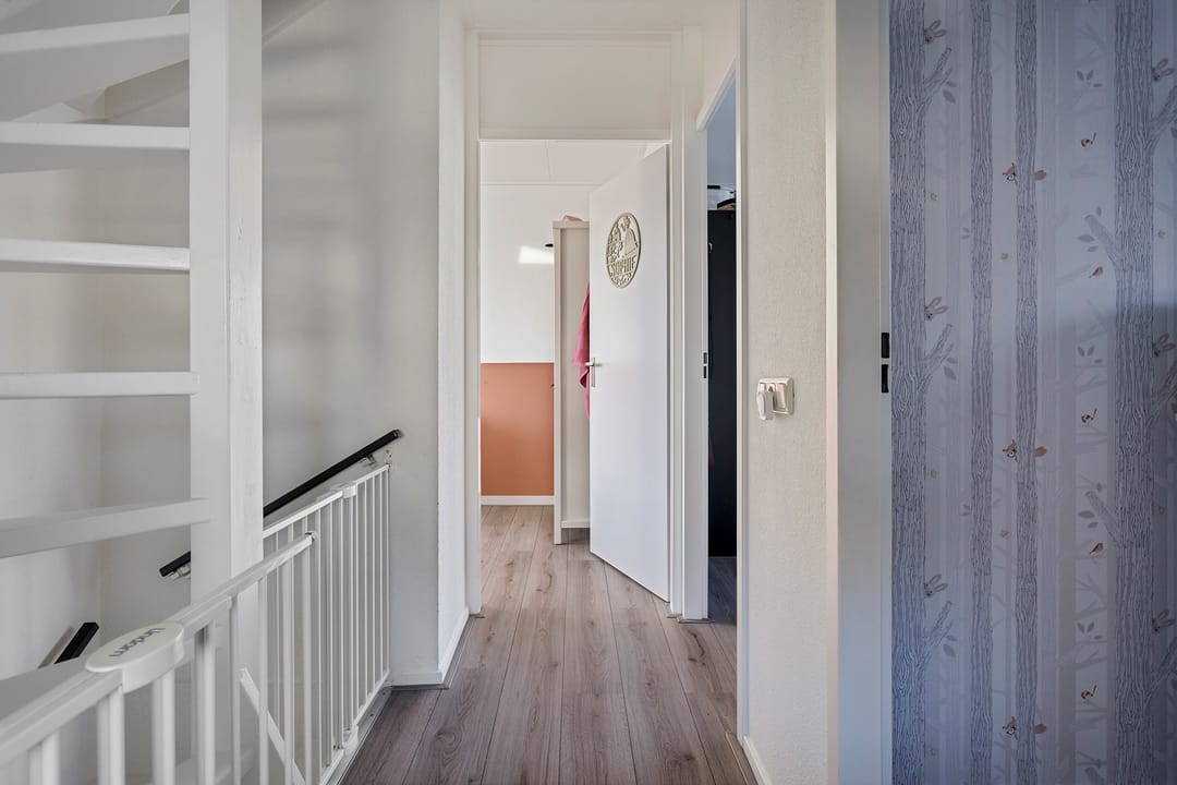 Foto 16 van Grauwe Gans 7