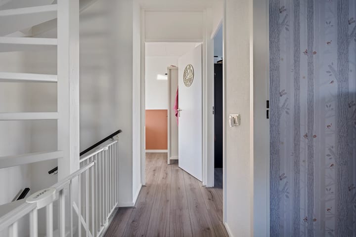 Foto 16 van Grauwe Gans 7