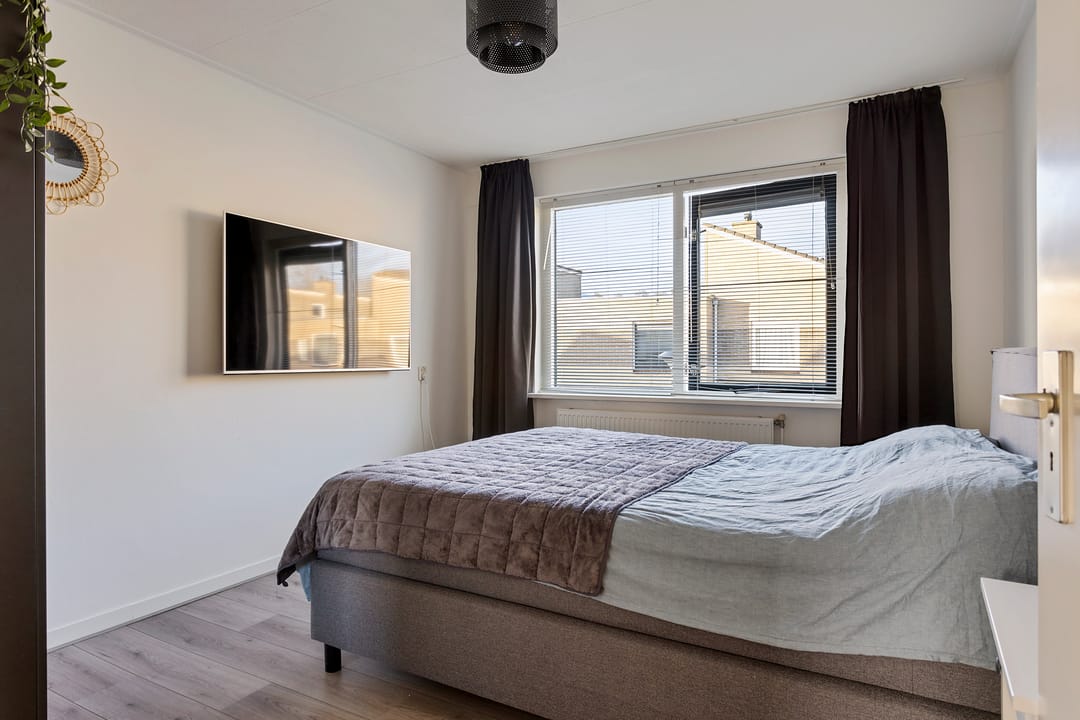 Foto 17 van Grauwe Gans 7