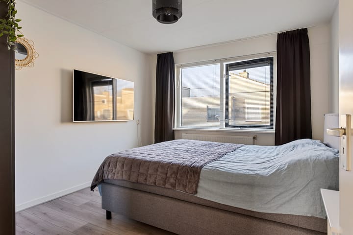 Foto 17 van Grauwe Gans 7