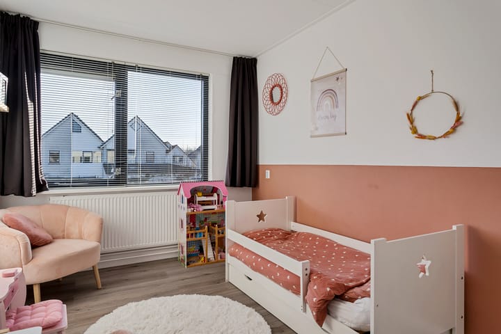 Foto 18 van Grauwe Gans 7