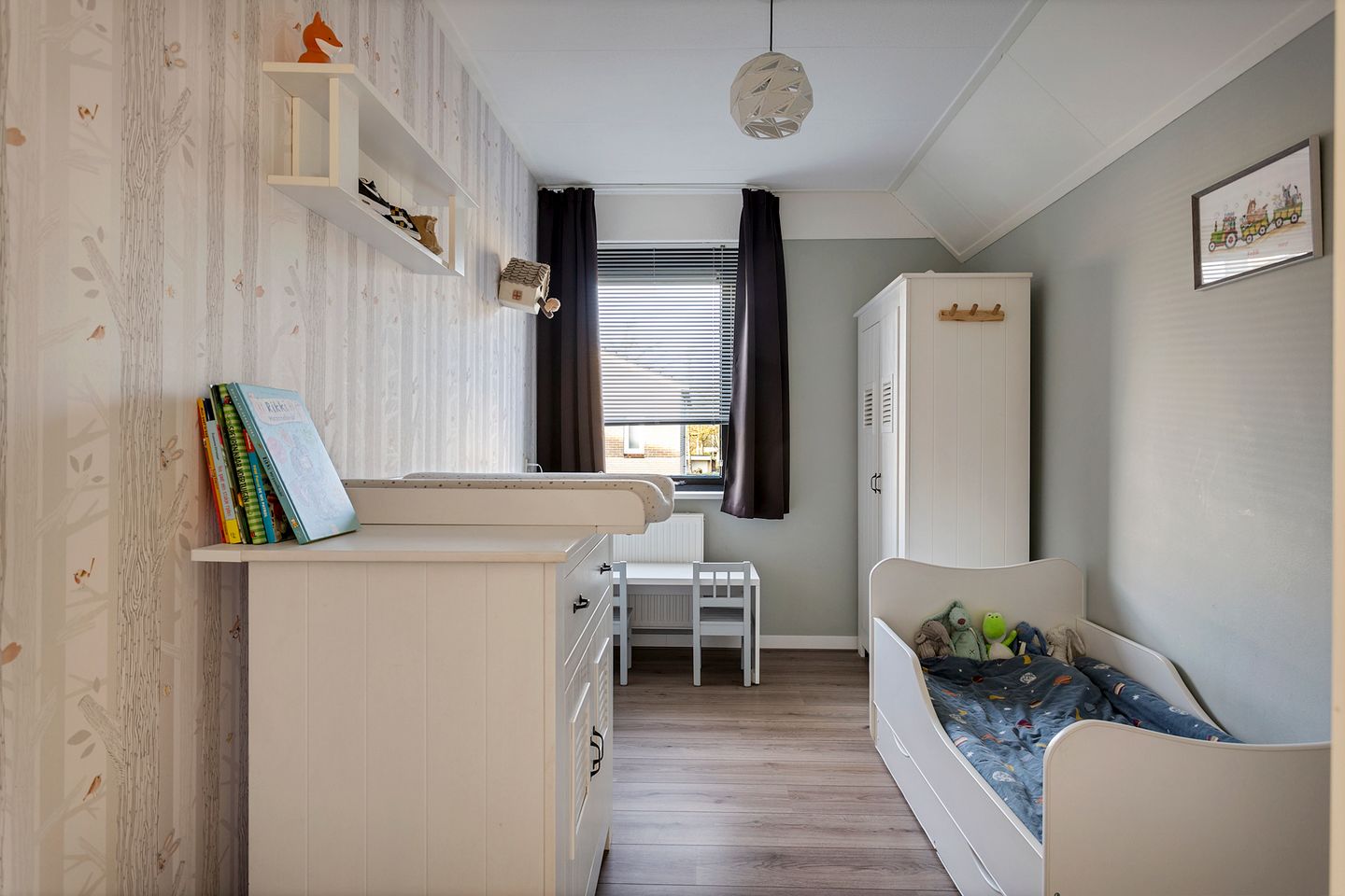 Foto 19 van Grauwe Gans 7