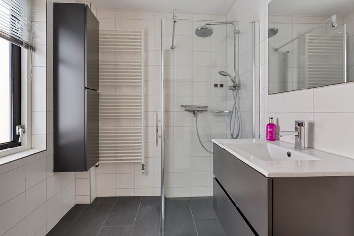 Foto 20 van Grauwe Gans 7