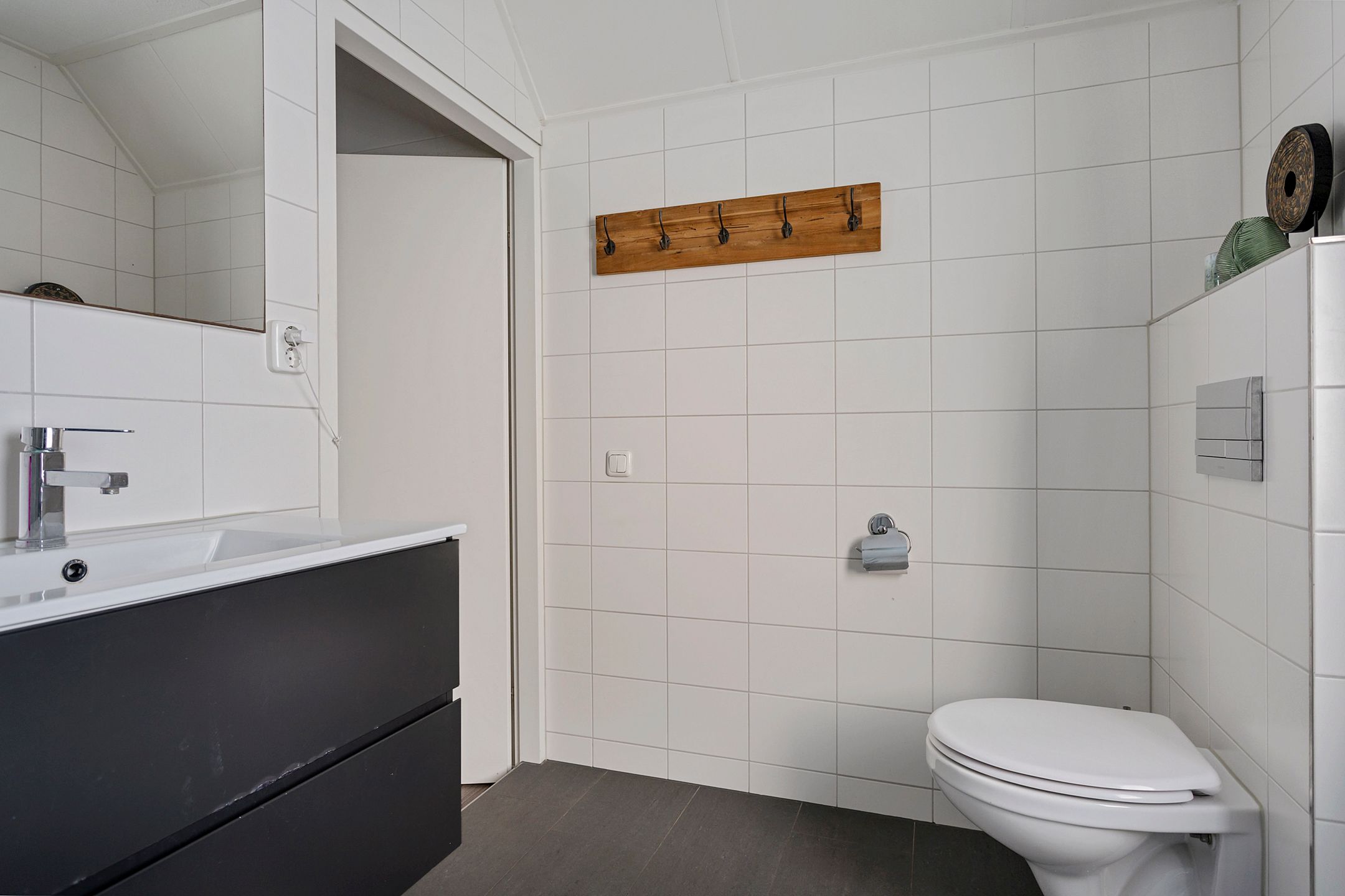 Foto 21 van Grauwe Gans 7