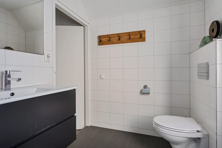 Foto 21 van Grauwe Gans 7