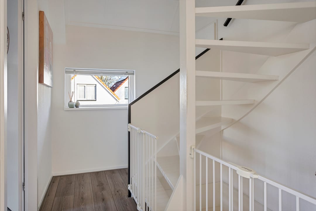 Foto 22 van Grauwe Gans 7