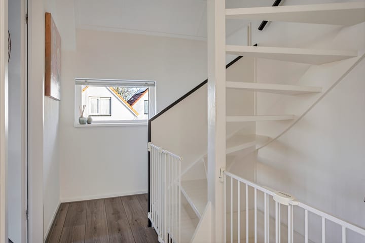 Foto 22 van Grauwe Gans 7