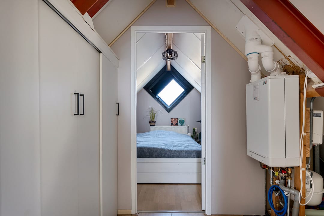 Foto 23 van Grauwe Gans 7