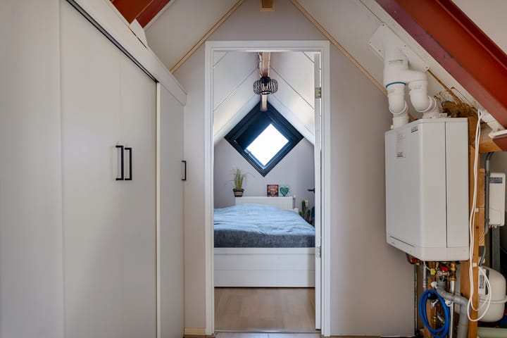 Foto 23 van Grauwe Gans 7