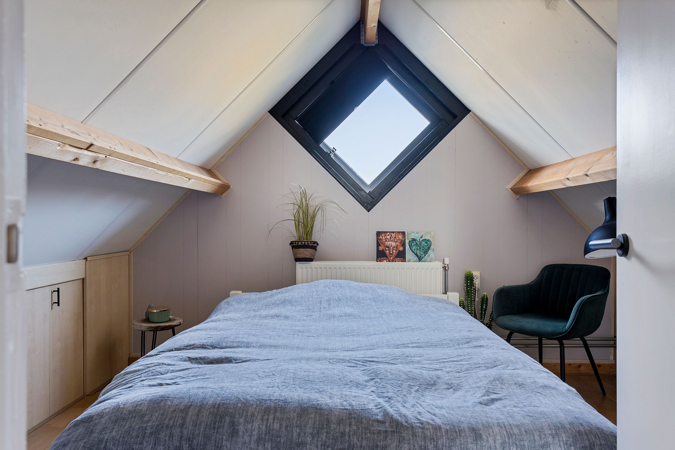 Foto 24 van Grauwe Gans 7