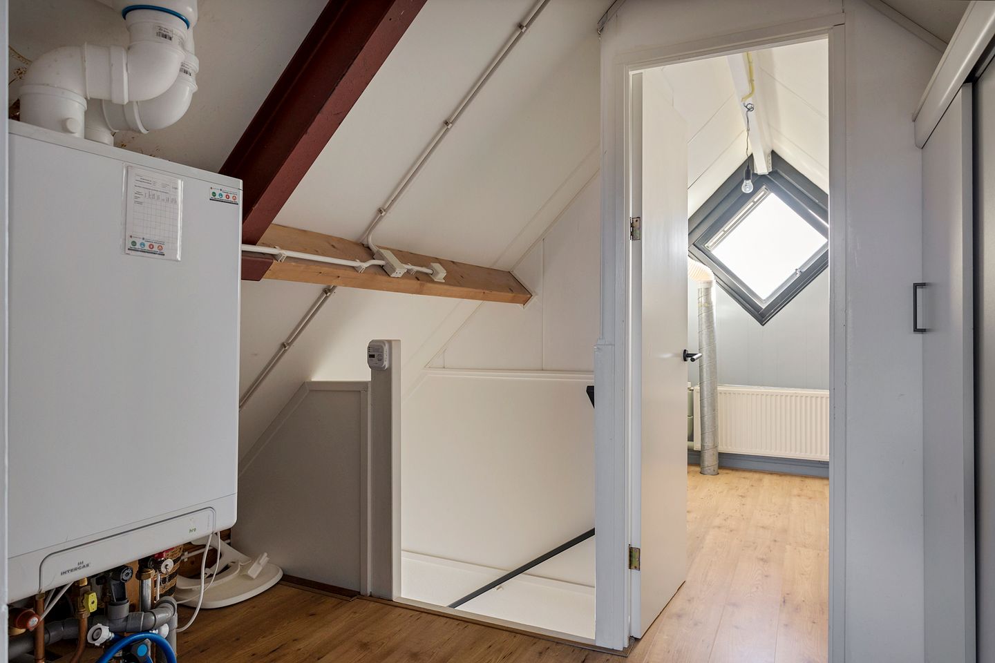 Foto 25 van Grauwe Gans 7