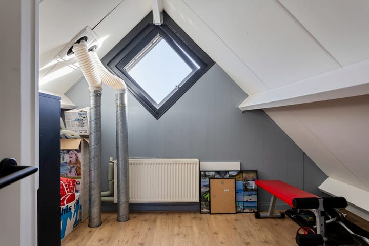 Foto 26 van Grauwe Gans 7