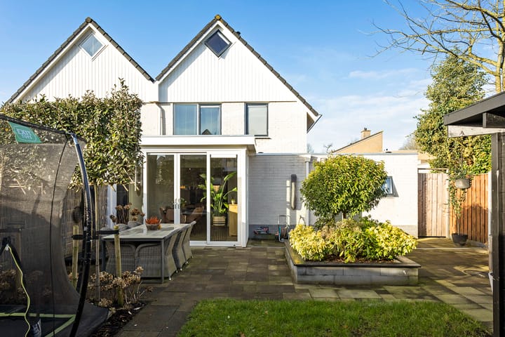 Foto 27 van Grauwe Gans 7