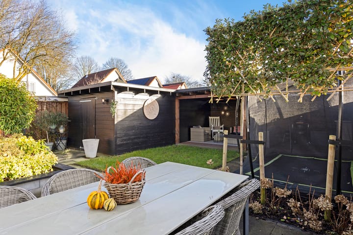 Foto 28 van Grauwe Gans 7