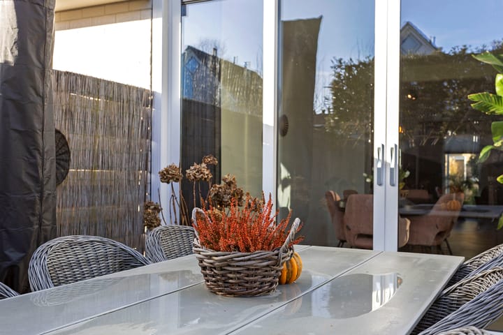 Foto 29 van Grauwe Gans 7