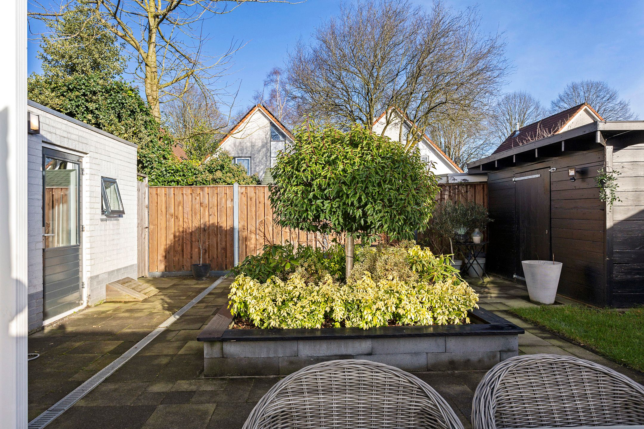 Foto 30 van Grauwe Gans 7