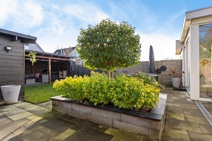 Foto 31 van Grauwe Gans 7