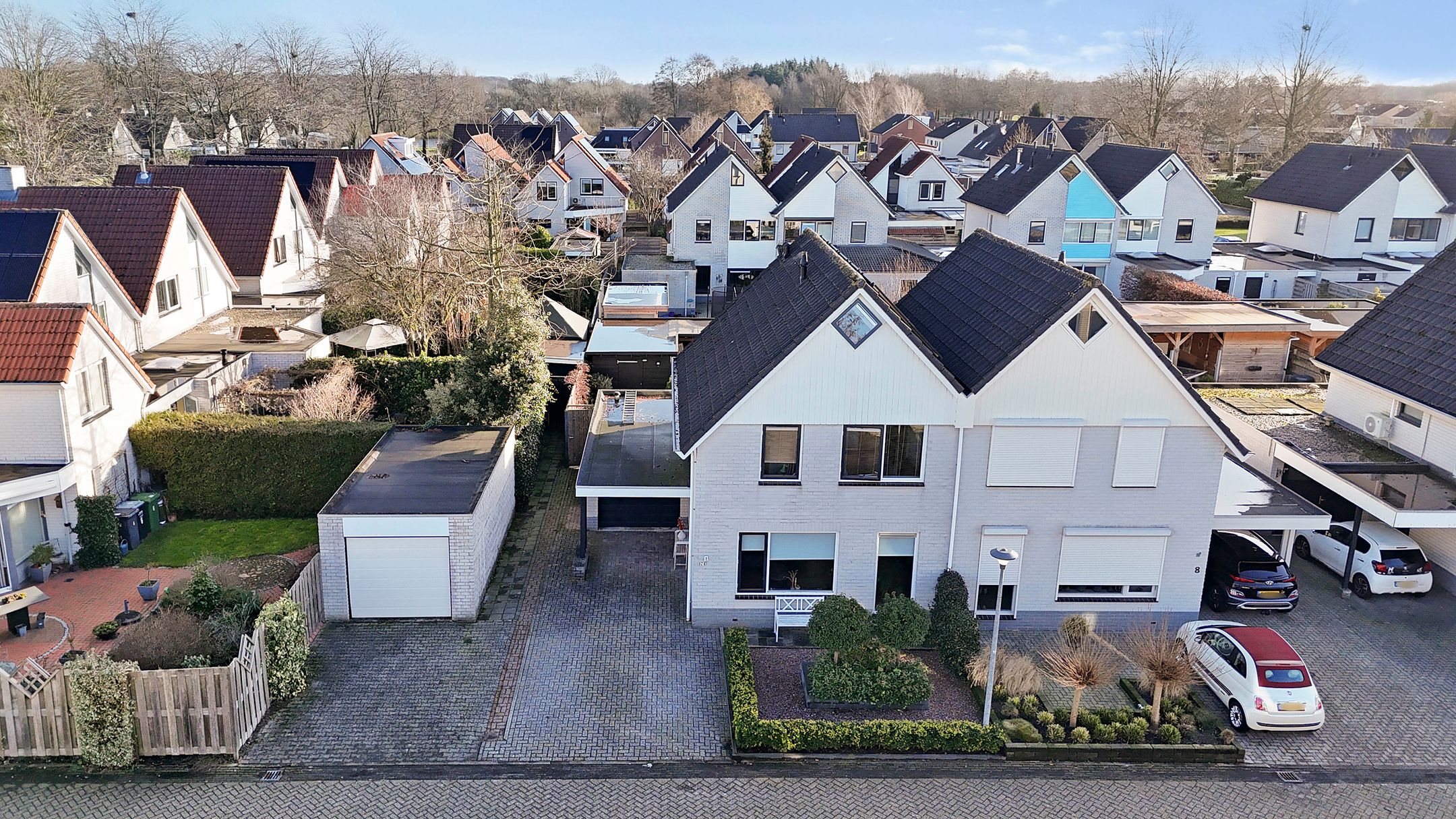 Foto 36 van Grauwe Gans 7