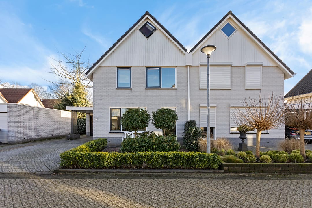 Foto 37 van Grauwe Gans 7