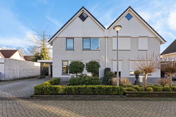 Foto 37 van Grauwe Gans 7