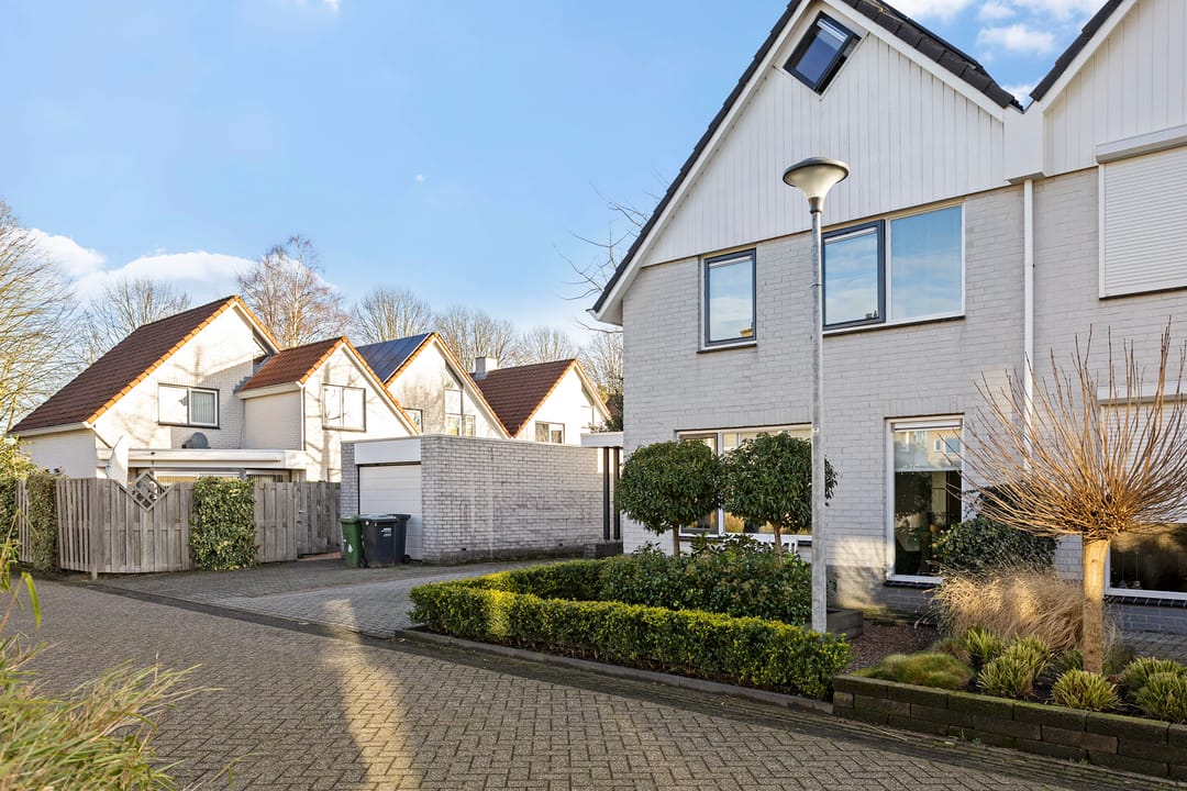 Foto 38 van Grauwe Gans 7