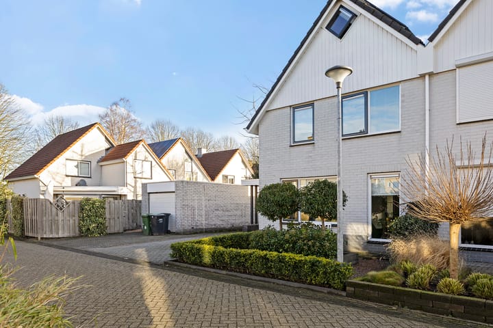 Foto 38 van Grauwe Gans 7