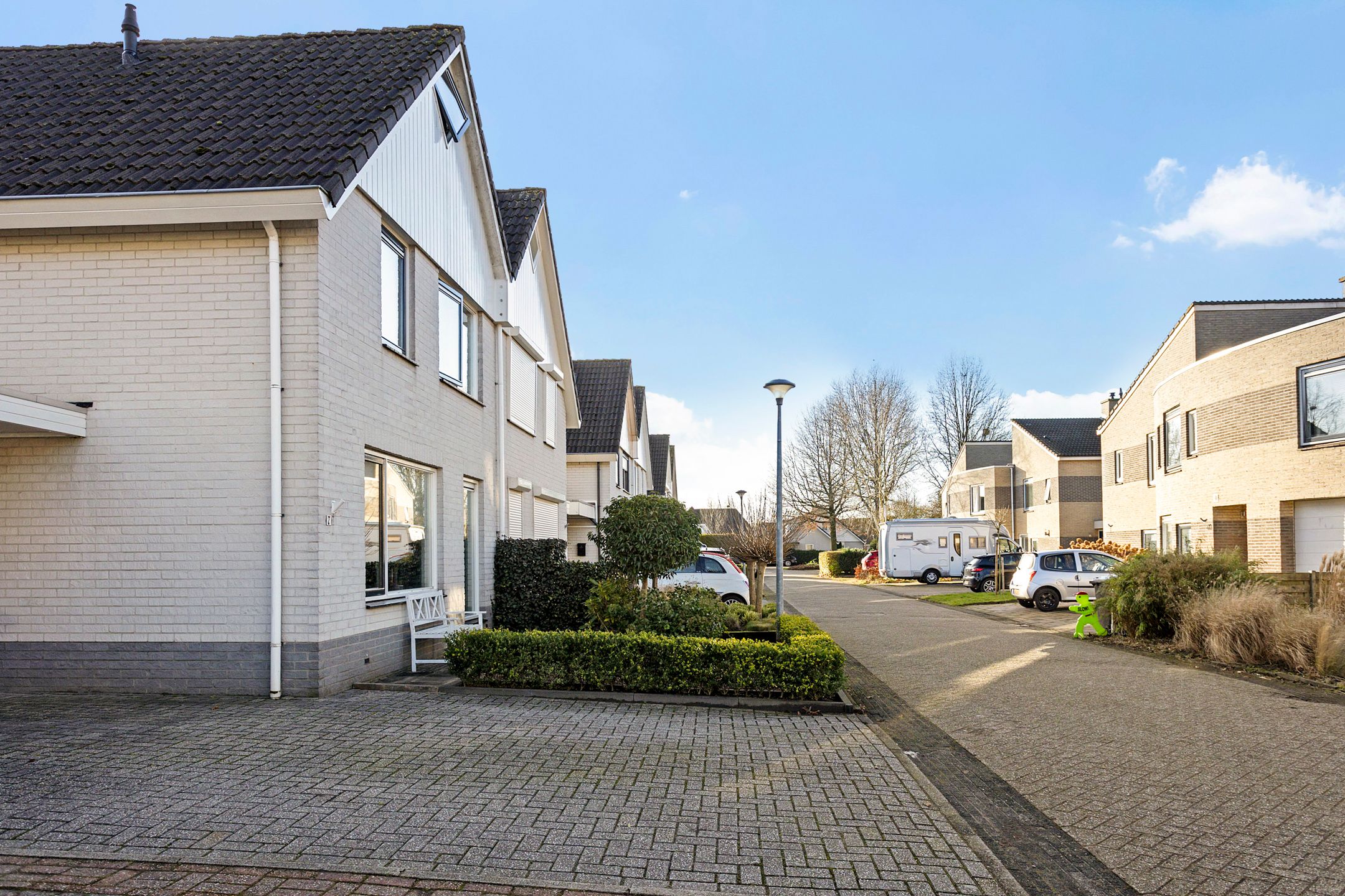 Foto 39 van Grauwe Gans 7