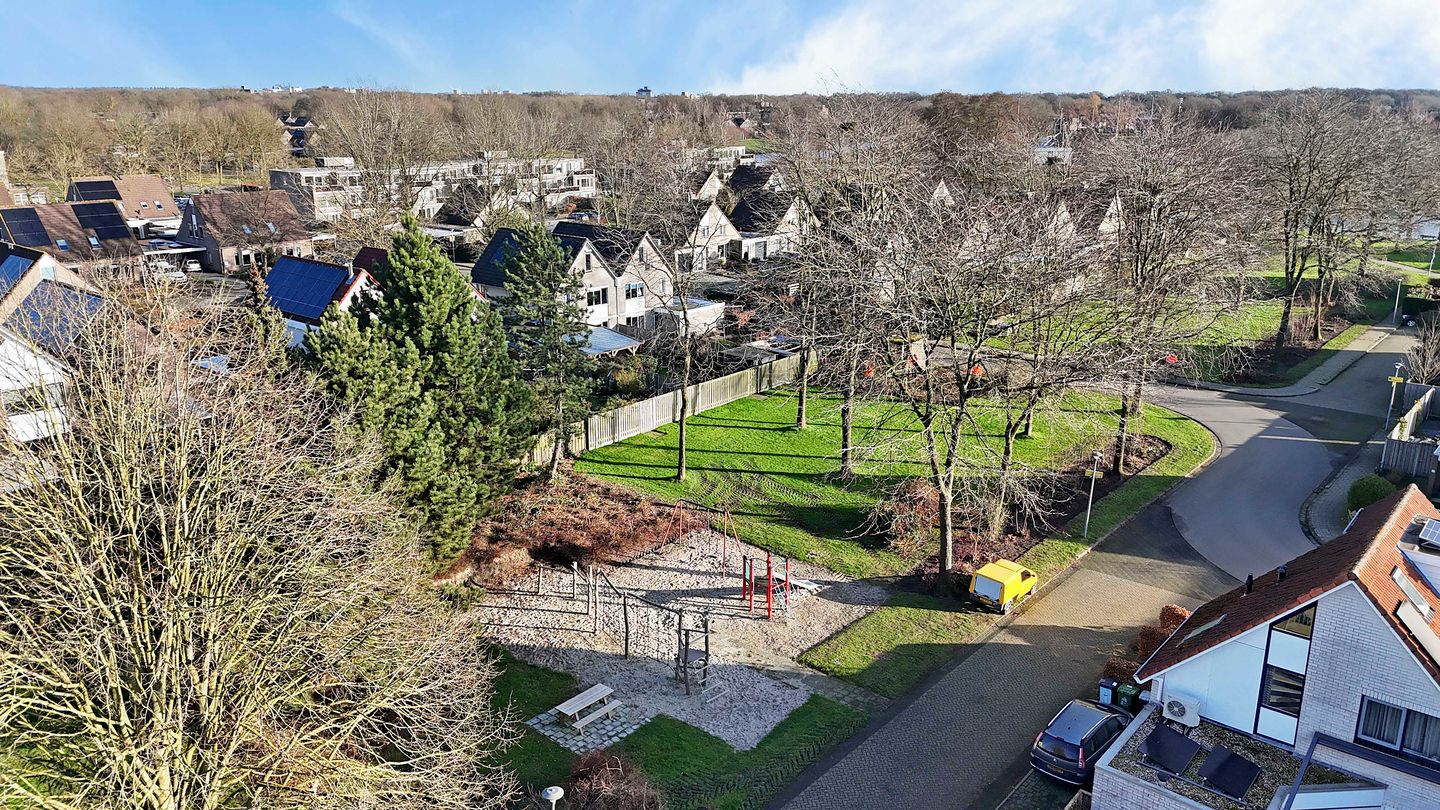 Foto 40 van Grauwe Gans 7