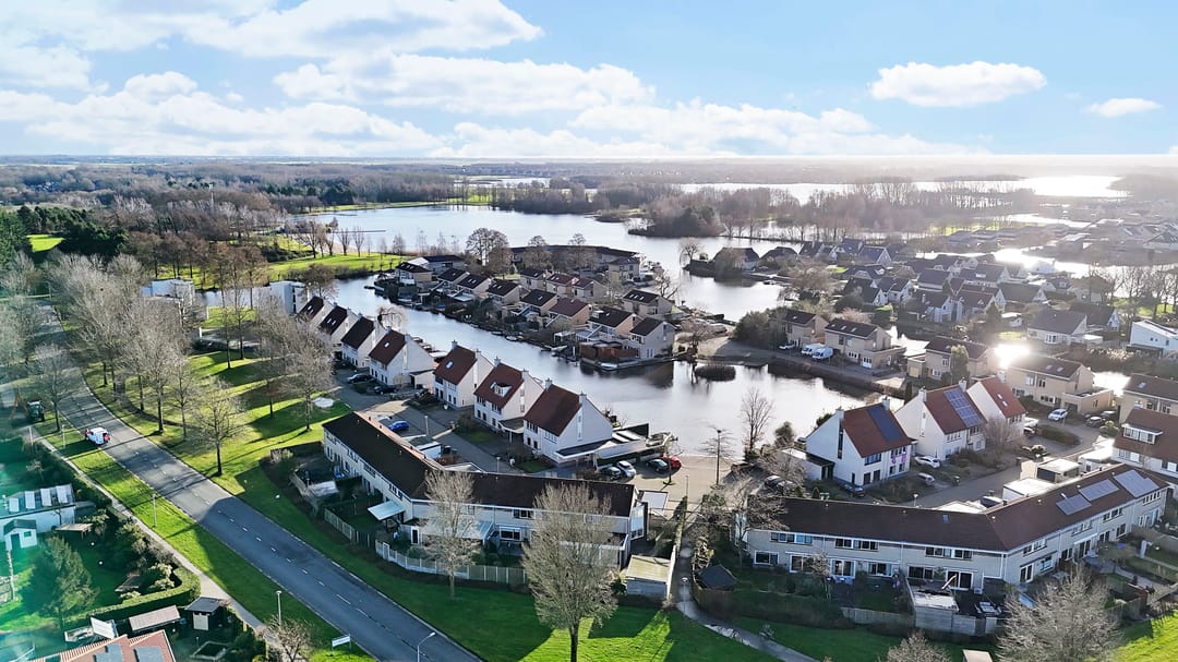 Foto 41 van Grauwe Gans 7