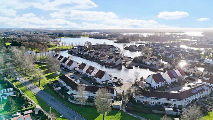 Foto 41 van Grauwe Gans 7