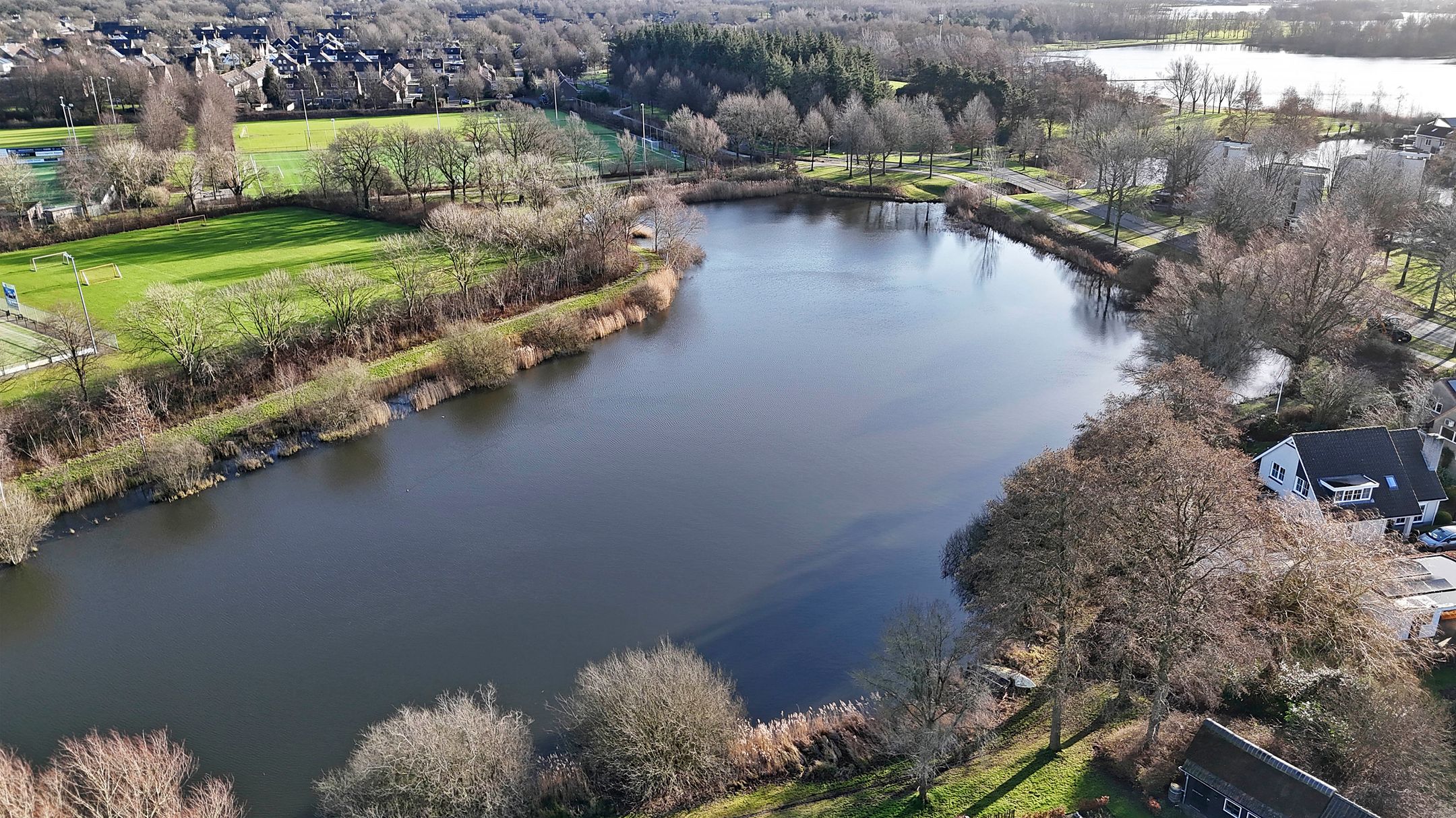 Foto 42 van Grauwe Gans 7